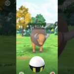 タイムチャレンジケンタロスCP1111！？個体値どうなんだろう……… #ポケモンgo好きと繋がりたい  #ポケモンgo