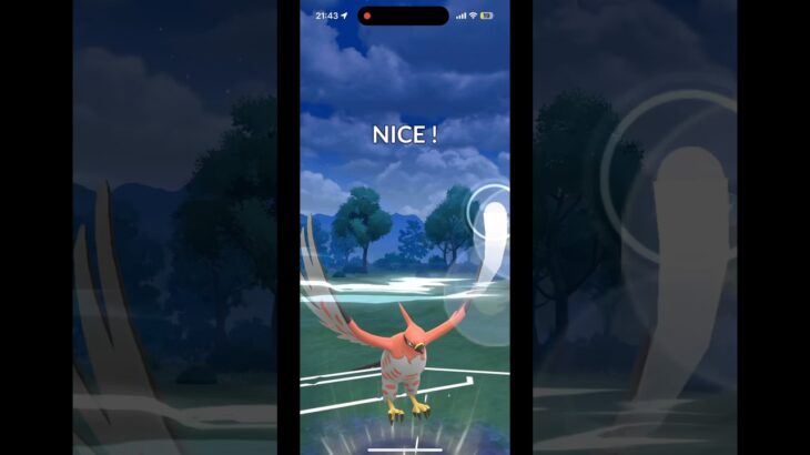 ポケモンGO 対戦 サマーカップ