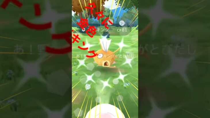 無課金でポケモンGO 久々のコイキング色違いゲットだぜ！