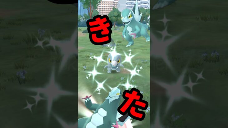 【ポケモンGO】「大発見ガチャ神回！色違いセビエついに降臨！」 #ポケモンGO #大発見 #色ちがいセビエ #おひろめ #shorts