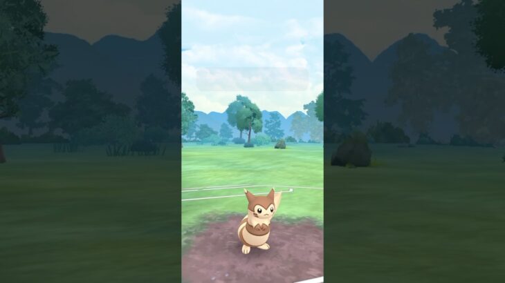 本日のポケモンGO対戦動画投稿の5日目です！今日はこのパーティで安定して勝つことができて良かったです！ #ポケモン #ポケモンgo #ポケモンgo対戦動画