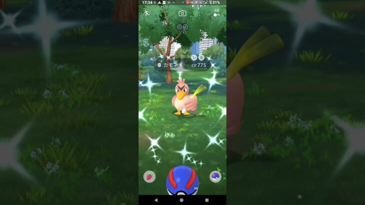 【ポケモンGO】色違いカモネギGETチャレンジ。