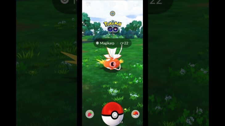 PokeGOThy Found Wild Magikarp CP 22 Pokemon GO Indonesia #Shorts