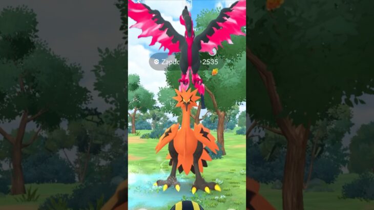 [Pokémon GO] Galarian Birds Special Bus? 伽勒爾賞鳥專車？ガラル鳥のスペシャルバス？ #pokemongo #ポケモンgo #寶可夢