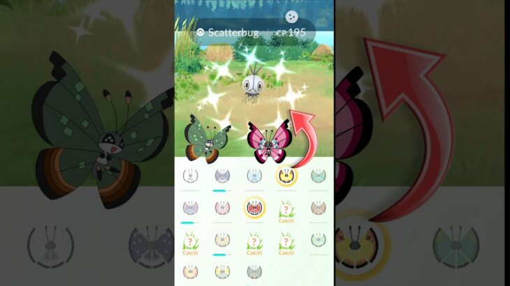 When I Got Free✨️Shiny Scatterbug in Pokémon GO