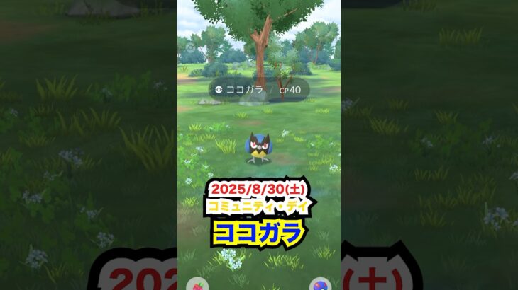ココガラのコミュニティ・デイに参戦してきたー‼️#ポケモン #ポケモンgo #ファス漫才