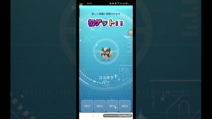 ココガラのタスクでやりました #ポケモンgo #ポケモン #ココガラ #色違い