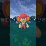 背景色でろ！ #ポケモンgo #ポケモン