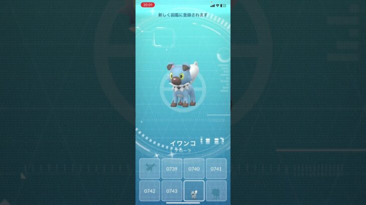 イワンコ色違い #ポケモンgo