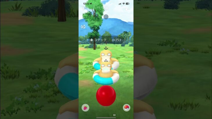 浮き輪コダック色違いを求めて… #ポケモンgo #ポケモンgo好きと繋がりたい #ポケモン #推し活 #コダック