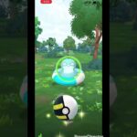 【ポケモンgo】　色違いのコダック(浮き輪)を捕獲！ #ポケモンgo #ポケモン #pokemongo #pokemon #コダック #色違いポケモン
