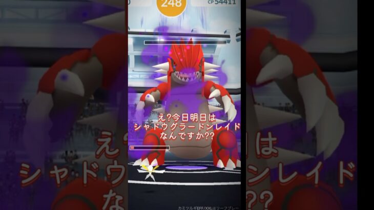 最強シャドウグラードンもびっくり‼️#ポケモンgo #ポケモン #pokemongo #色違い