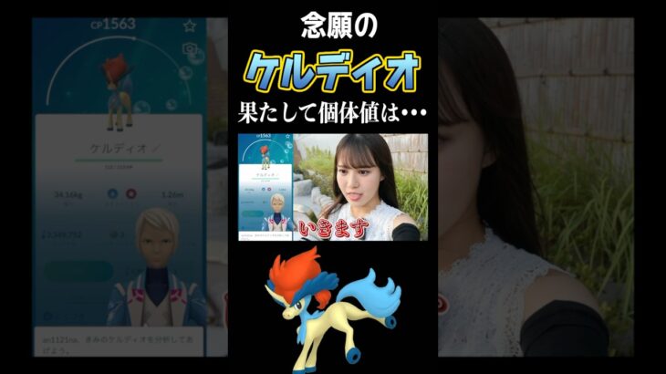 【念願のケルディオ】気になる個体値は… #ポケモンgo #pokemongo #shorts