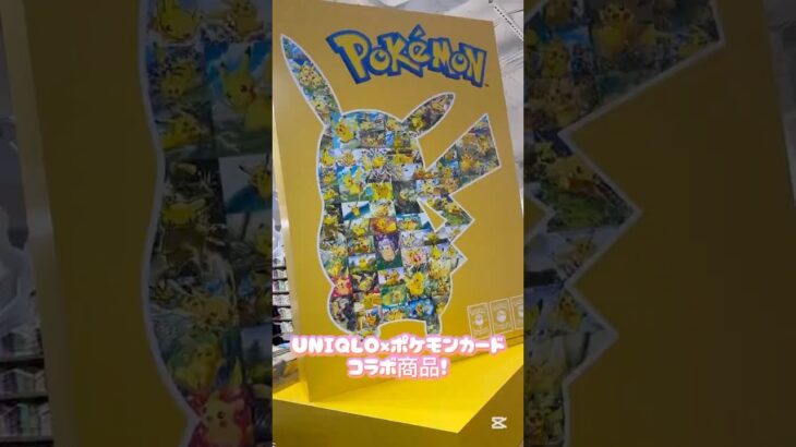 ユニクロ×ポケモンコラボ！#ポケモン #ポケモンgo #ポケモンsv #ポケモンと遊びたい#pokemon #コラボ #ユニクロ #ポケモン好き #shorts #shortvideos #リール