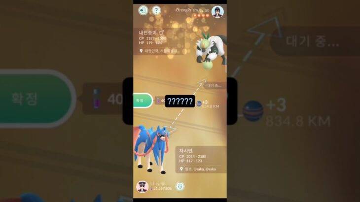 시즌 마지막주 반교 순간들 #포켓몬고 #pokemongo #ポケモンgo