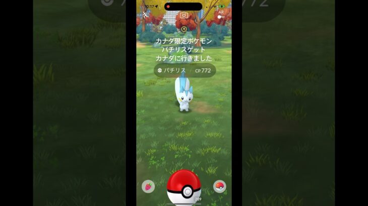 カナダ限定ポケモン #shorts #ポケモン #ポケモンgo #ポケモンカード #ポケポケ #ポケカ